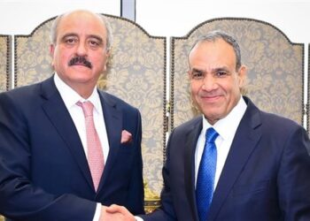 وزير الخارجية يشيد بموقف تونس الداعم لموقف مصر فى ملف الأمن المائى