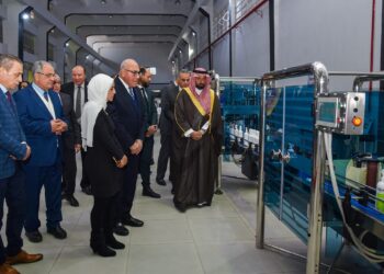 رئيس الهيئة العربية للتصنيع يفتتح مشروع نانومان إيجيبت الشرق الأوسط