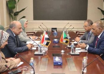 وزير الكهرباء يبحث مع وزير النفط والطاقة السوداني سبل دعم وتعزيز الشراكة والتعاون فى مجالات الكهرباء، والطاقات المتجددة