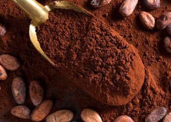 ارتفاع أسعار الكاكاو لـ10 آلاف دولار للطن