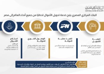 فيديو يشرح كيفية تحويل الأموال لحظيًا من جميع أنحاء العالم إلى مصرs