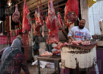 أسعار اللحوم الحمراء اليوم الخميس