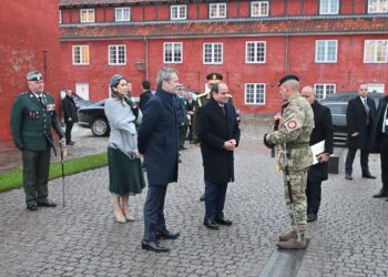 الرئيس السيسى يشهد منتدى الأعمال المصرى الدنماركى المشترك بعد قليل