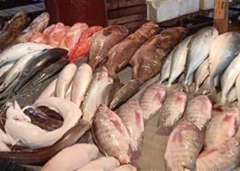 أسعار الأسماك في سوق العبور اليوم السبت