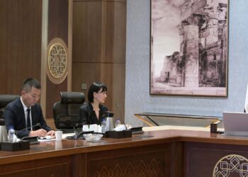 رئيس الوزراء يلتقي رئيسة مجلس إدارة مجموعة “نيو هوب” الصينية لاستعراض فرص الاستثمار