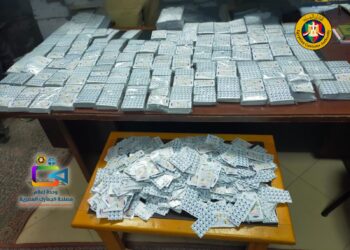 جمارك نوبيع تحبط محاولة لتهريب شحنة كبيرة من الأدوية الى خارج البلاد