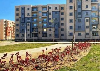 حدوث فقاعة عقارية في مصر خلال الأشهر المقبلة؟.. شعبة الاستثمار تكشف مفاجأة مدوية