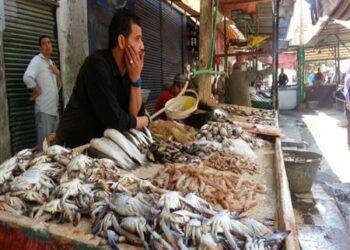 أسعار الأسماك في سوق العبور اليوم السبت