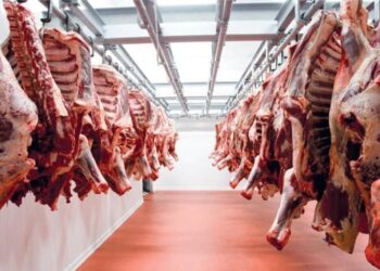 أسعار اللحوم الحمراء اليوم السبت