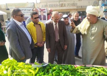 للمرة الثالثة.. افتتاح أسواق اليوم الواحد بمحافظة الأقصر