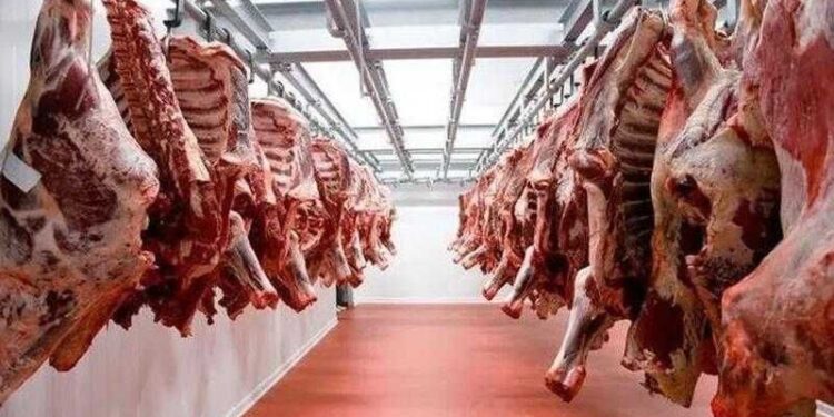 أسعار اللحوم الحمراء اليوم الخميس
