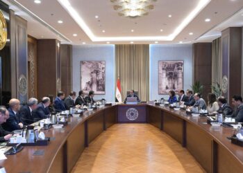 رئيس الوزراء يلتقي رئيس أكبر شركة صينية لتصنيع إطارات السيارات لبحث إقامة مشروعين جديدين في مصر