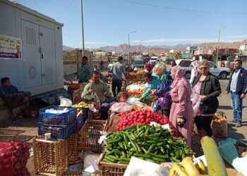 للمرة الخامسة على التوالي.. افتتاح سوق اليوم الواحد بمدينة دهب بجنوب سيناء