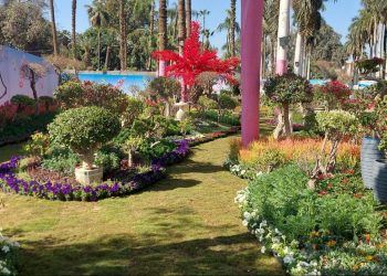 الزراعة: نسخة استثنائية من معرض زهور الربيع في دورته ال 92 بالمتحف الزراعي