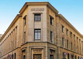 26.3 مليار دولار حصيلة تحويلات المصريين العاملين بالخارج خلال الفترة يناير/ نوفمبر 2024