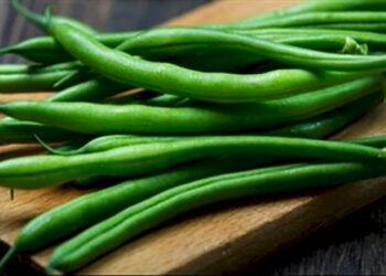 الفاصوليا تتصدر قائمة الصادرات الزراعية من الخضروات خلال الأسبوع الماضى