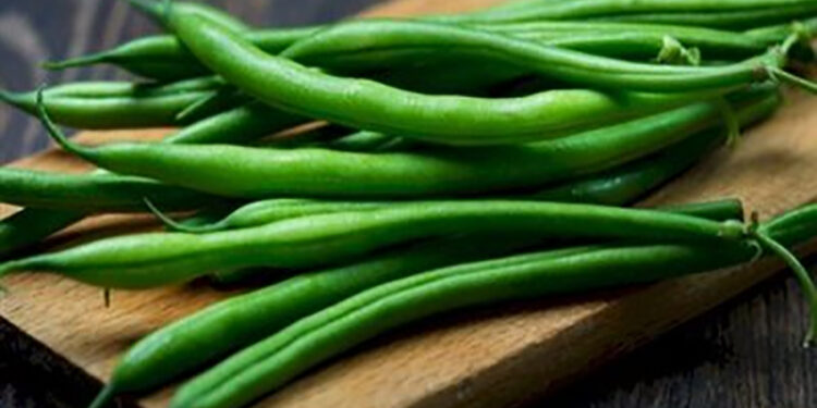 الفاصوليا تتصدر قائمة الصادرات الزراعية من الخضروات خلال الأسبوع الماضى