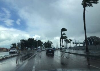 الشبورة مستمرة.. الأرصاد تكشف حالة الطقس غدا