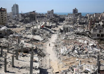 خبير: لحظات الفرحة بقطاع غزة تتويج حقيقي للجهود المصرية الحثيثة