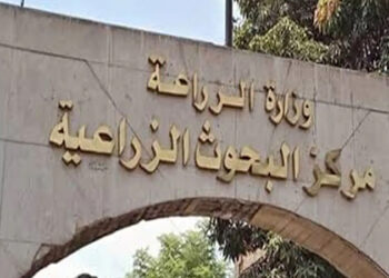 البحوث الزراعية: 1150 نشاطا إرشاديا فى النصف الأول من شهر يناير الحالى