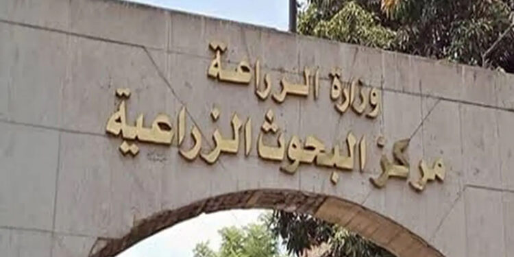 البحوث الزراعية: 1150 نشاطا إرشاديا فى النصف الأول من شهر يناير الحالى