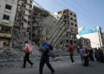 أستاذ في العلوم السياسية: تضافر الجهود الدولية يردع إسرائيل عن جرائمها الوحشية   