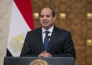 السيسي يستقبل الرئيس التنفيذي لشركة كونسنتركس الأمريكية