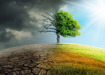 الحرائق تهدد المدن والصحاري.. آثار تغير المناخ تجتاح الشرق الأوسط