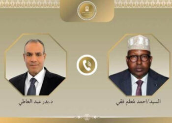 اتصال هاتفى بين وزير الخارجية والهجرة ونظيره الصومالي