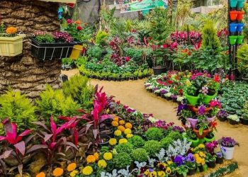 الزراعة تعلن فتح باب الاشتراك في معرض زهور الربيع ال 92 لعام 2025