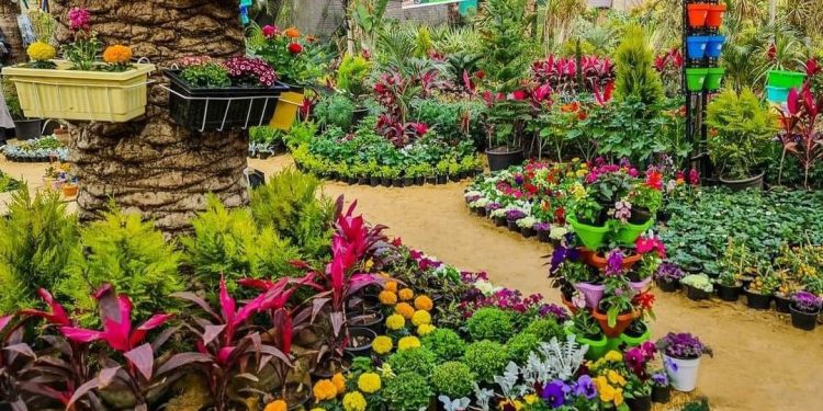 الزراعة تعلن فتح باب الاشتراك في معرض زهور الربيع ال 92 لعام 2025