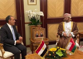 مباحثات سياسية بين وزير الخارجية والهجرة ونظيره العماني
