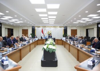 وزير قطاع الأعمال يعقد اجتماعه الدوري برؤساء شركات القطن والغزل والنسيج التابعة