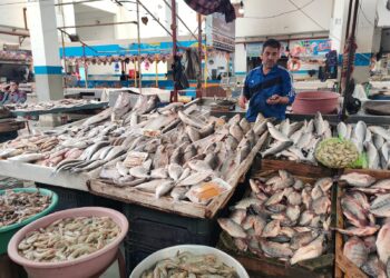 أسعار الأسماك في سوق العبور اليوم الخميس