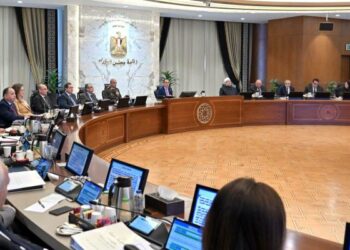 ننشر قرارات مجلس الوزراء اليوم الأربعاء