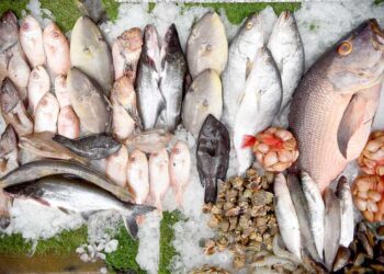 أسعار الأسماك في سوق العبور اليوم الأحد