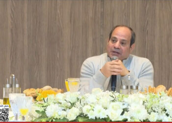 الرئيس السيسي: الاحتياج للدولار يؤثر على الأوضاع الاقتصادية بشكل كبير