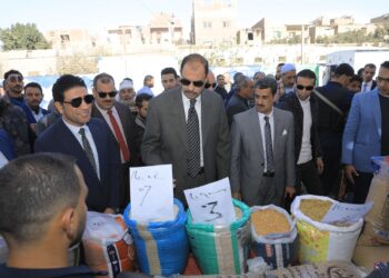 للمرة الثانية على التوالي.. افتتاح أسواق اليوم الواحد بمحافظة سوهاج