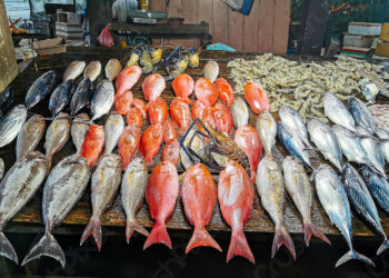 أسعار الأسماك في سوق العبور اليوم الجمعة