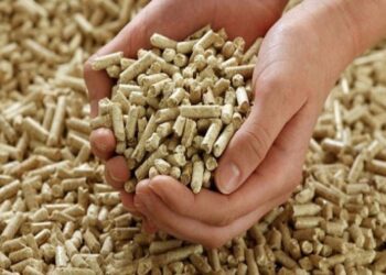 نقيب الفلاحين: إرتفاع اسعار الاعلاف يهدد الثروة الحيوانية