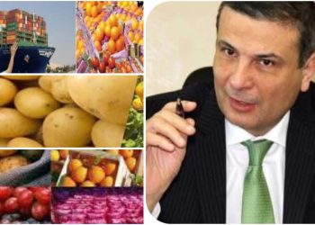 17 % زيادة في الصادرات الزراعية منذ عام 2023