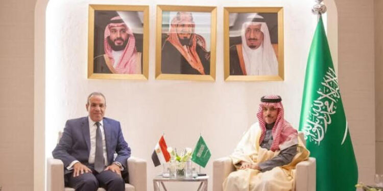 لقاء ثنائي بين وزير الخارجية والهجرة ونظيره السعودي على هامش الاجتماعات الخاصة بسوريا في الرياض