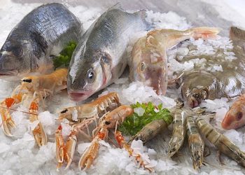 أسعار السمك والجمبري اليوم الثلاثاء 11 فبراير 2025 في سوق العبور