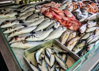 أسعار الأسماك في سوق العبور اليوم الإثنين