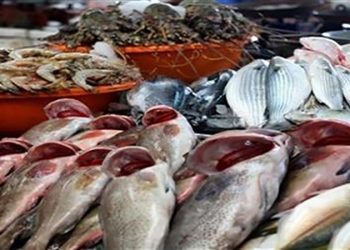 أسعار الأسماك في سوق العبور اليوم السبت