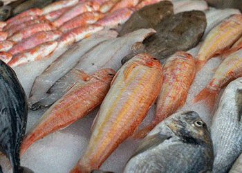 أسعار الأسماك في سوق العبور اليوم الأحد