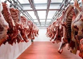 أسعار اللحوم الحمراء اليوم الإثنين