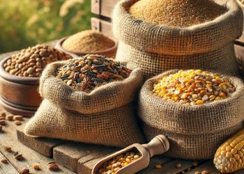 أسعار الأعلاف اليوم الاثنين 10 فبراير 2025.. تغييرات في الذرة المستوردة واستقرار في العلف المحلي