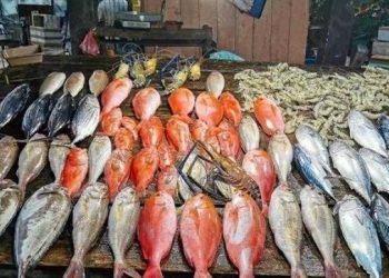 أسعار الأسماك في سوق العبور اليوم الأحد