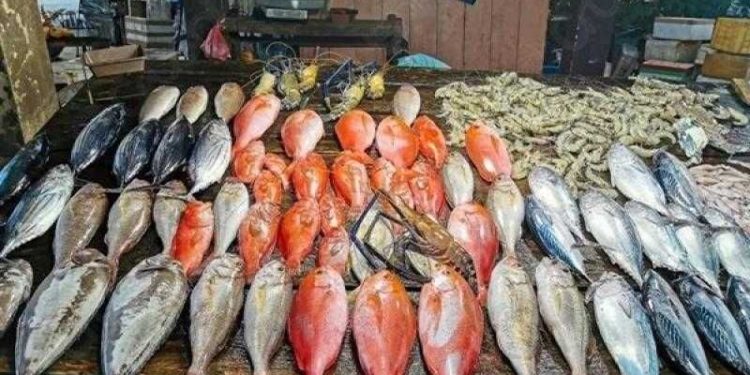 أسعار الأسماك في سوق العبور اليوم الأحد